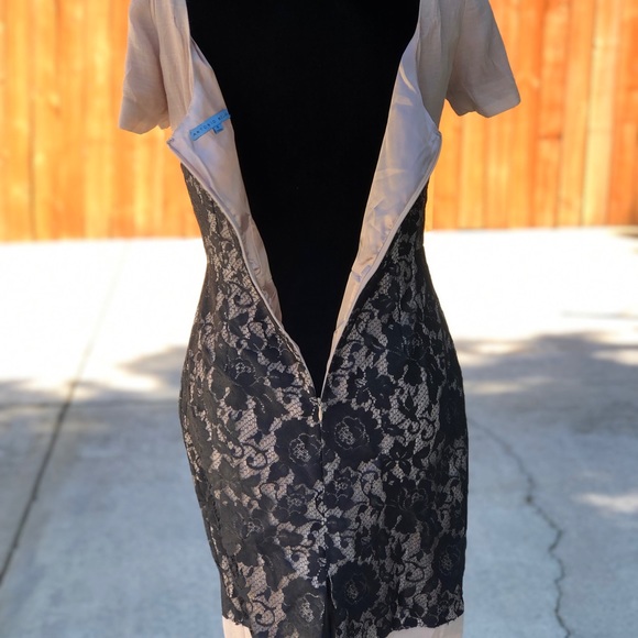 Dress - Picture 8 of 9